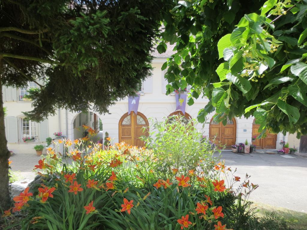 La Maison Des Fontaines D'Alsace Ferrette Δωμάτιο φωτογραφία