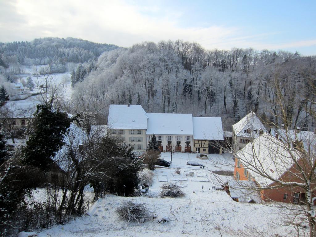 La Maison Des Fontaines D'Alsace Ferrette Εξωτερικό φωτογραφία