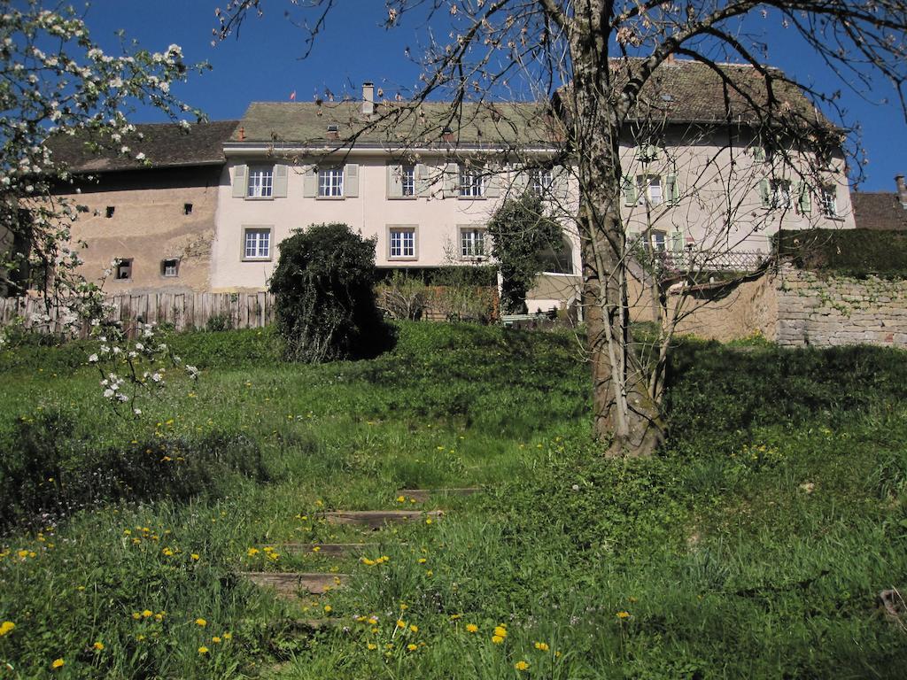 La Maison Des Fontaines D'Alsace Ferrette Δωμάτιο φωτογραφία