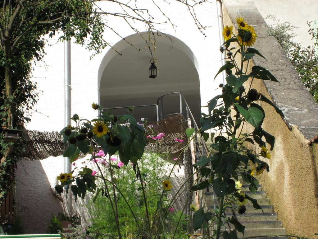 La Maison Des Fontaines D'Alsace Ferrette Εξωτερικό φωτογραφία