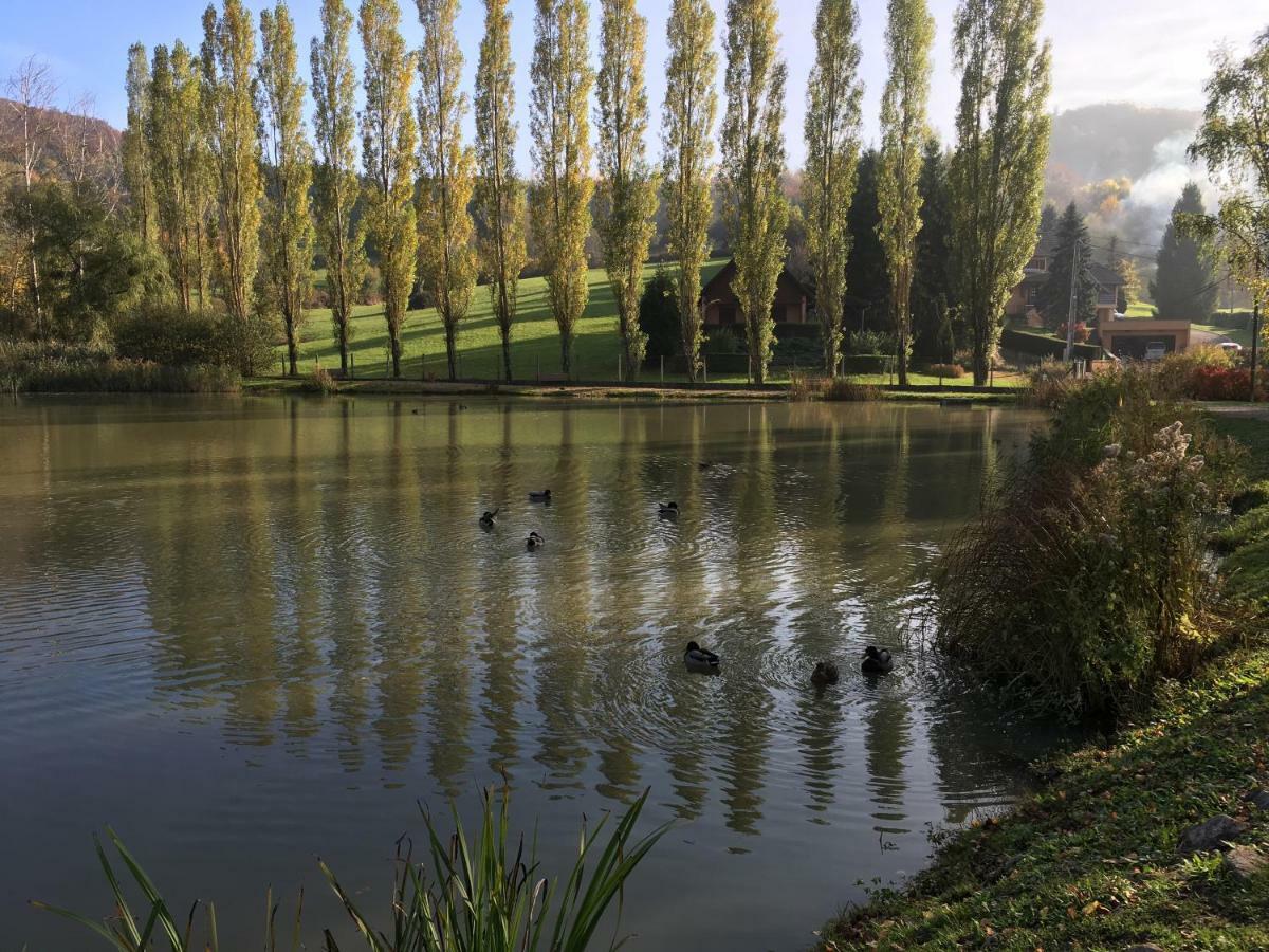 La Maison Des Fontaines D'Alsace Ferrette Εξωτερικό φωτογραφία