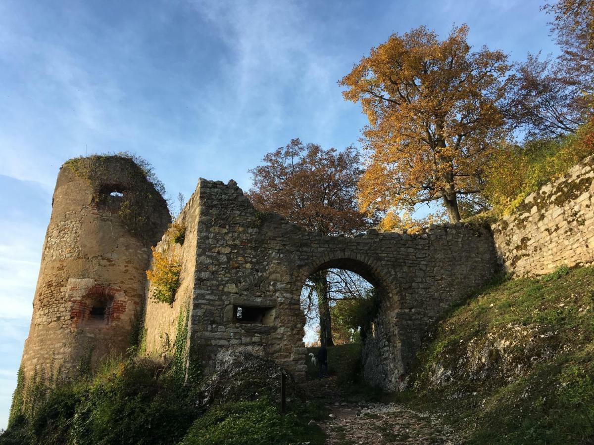 La Maison Des Fontaines D'Alsace Ferrette Εξωτερικό φωτογραφία