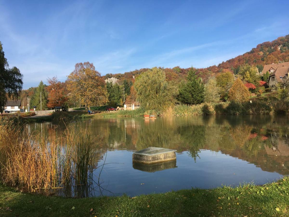 La Maison Des Fontaines D'Alsace Ferrette Εξωτερικό φωτογραφία