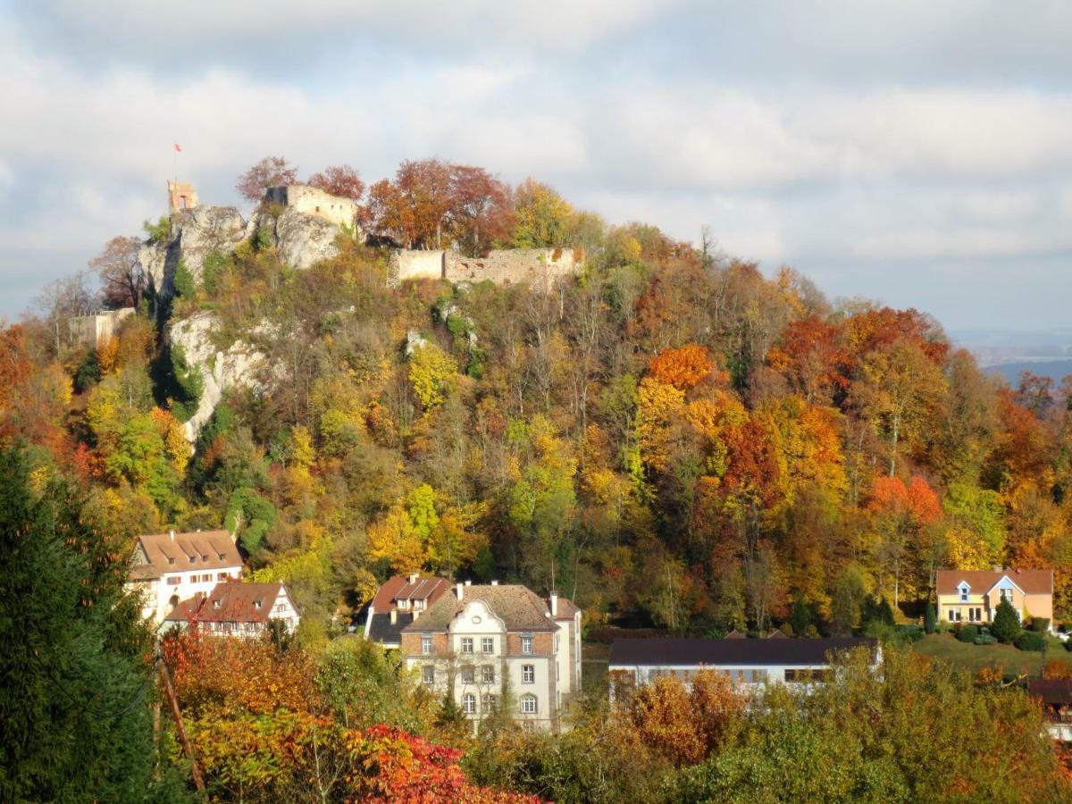 La Maison Des Fontaines D'Alsace Ferrette Εξωτερικό φωτογραφία