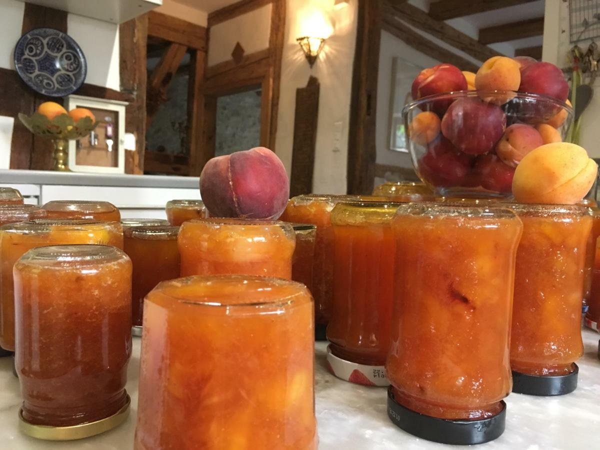 La Maison Des Fontaines D'Alsace Ferrette Εξωτερικό φωτογραφία